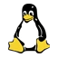 VPS Linux